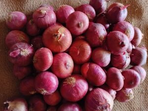 Onion Export from India: A Complete Guide for Global Importers
