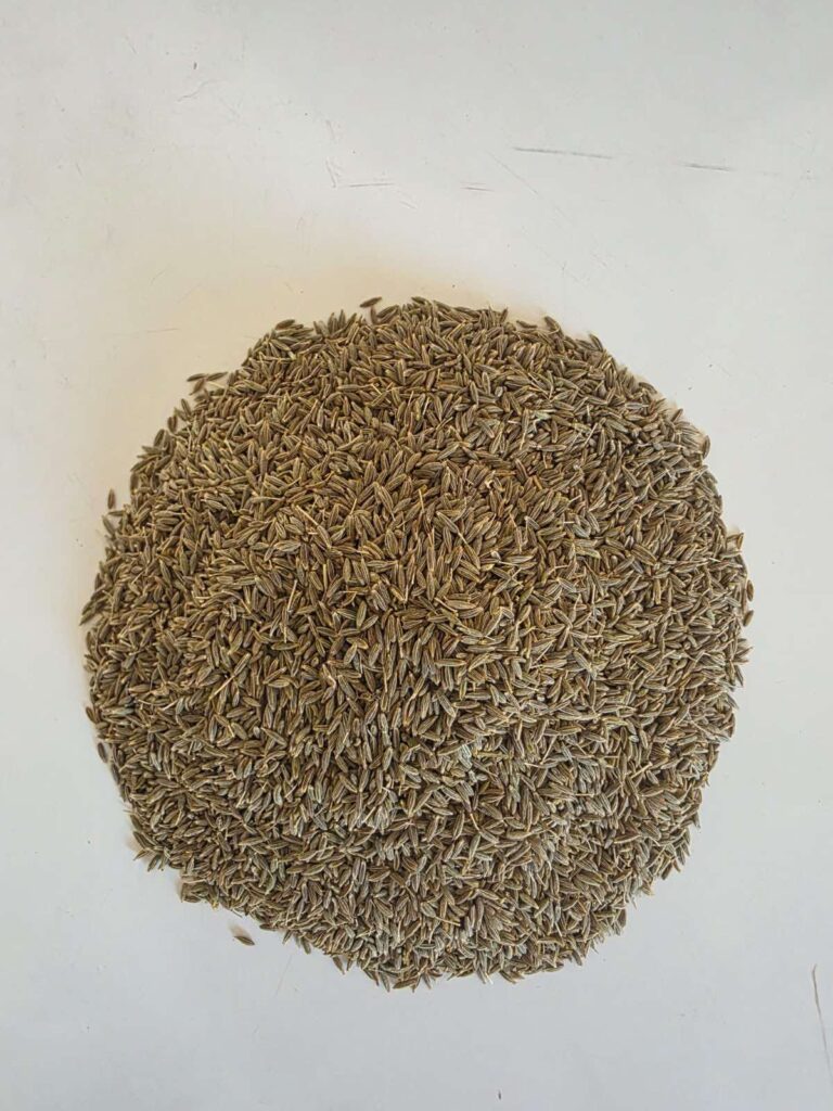 How Indian Cumin Exporters Can Successfully Export to China